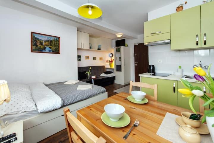 קרקוב Cosy Studio Apartment מראה חיצוני תמונה