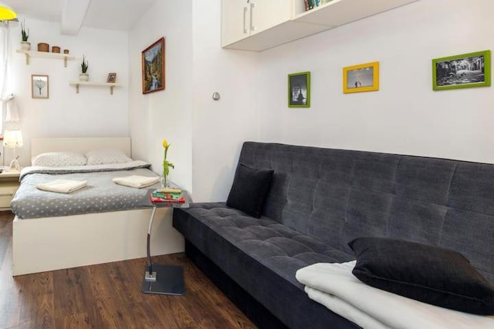 קרקוב Cosy Studio Apartment מראה חיצוני תמונה